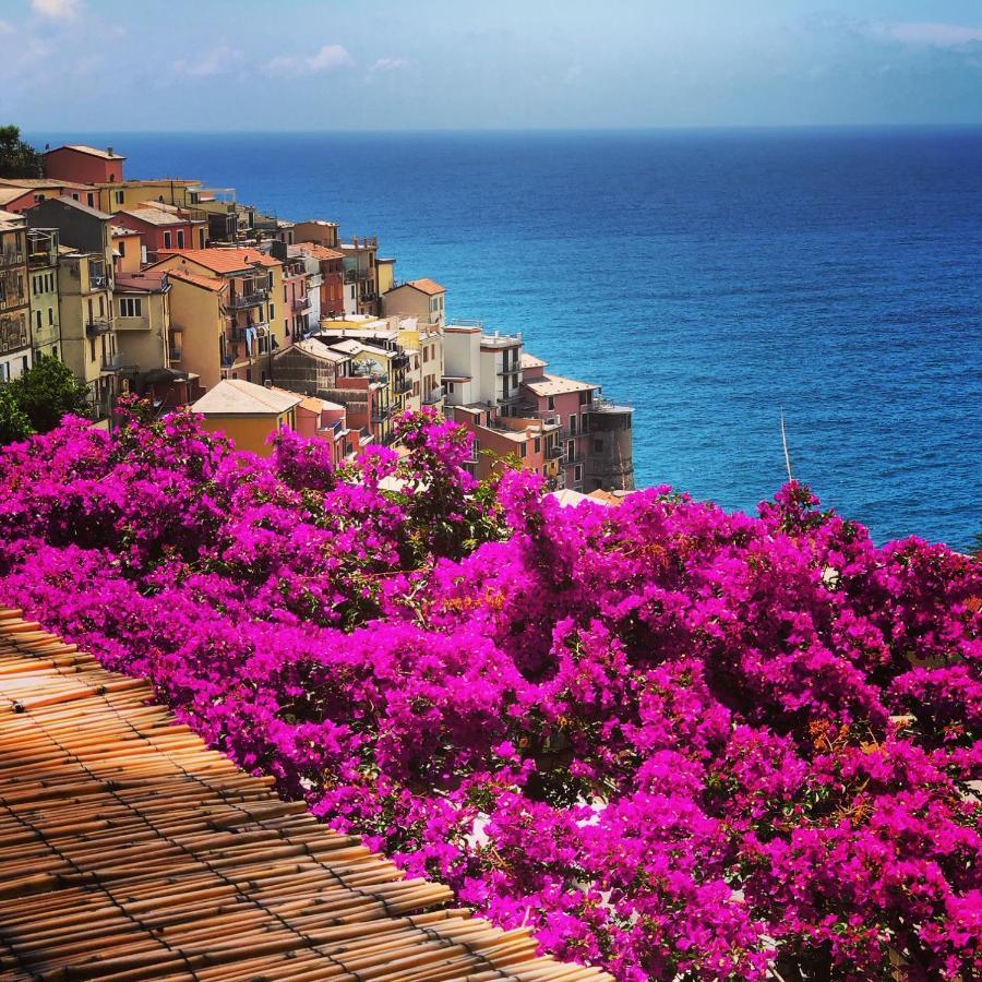 La Torretta Lodge Manarola Eksteriør billede